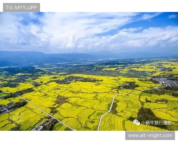 开云体育百家乐玩法详解助你轻松掌握赢取技巧提升游戏体验 开云体育百家乐玩法详解助你轻松掌握赢取技巧提升游戏体验