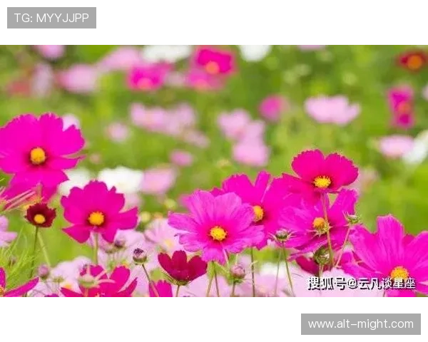 开运下载助你开启好运气的最佳途径，轻松提升生活运势的实用指南